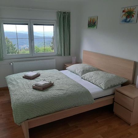 Naproti Klinovci Villa Jáchymov Exterior foto