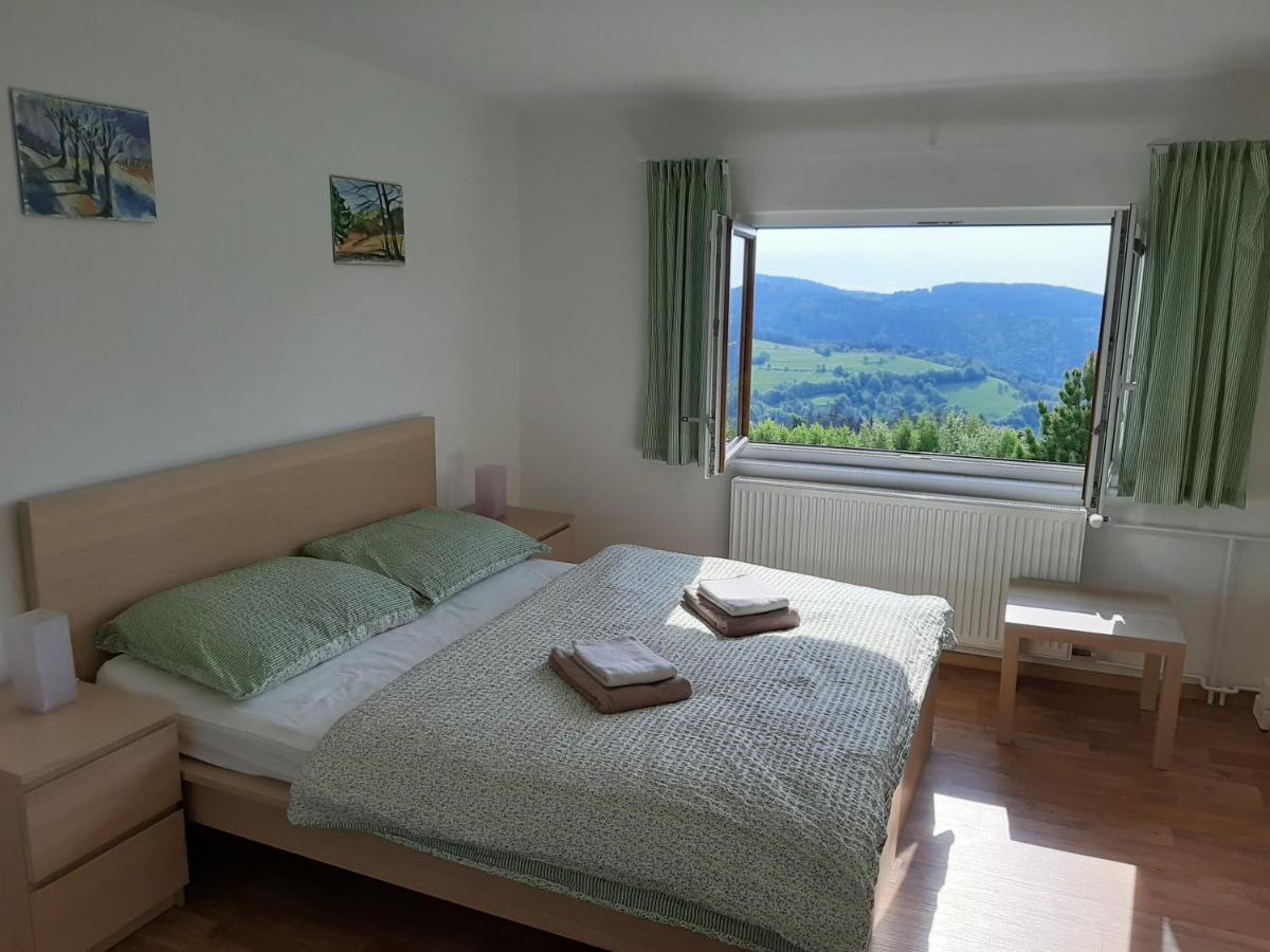 Naproti Klinovci Villa Jáchymov Exterior foto